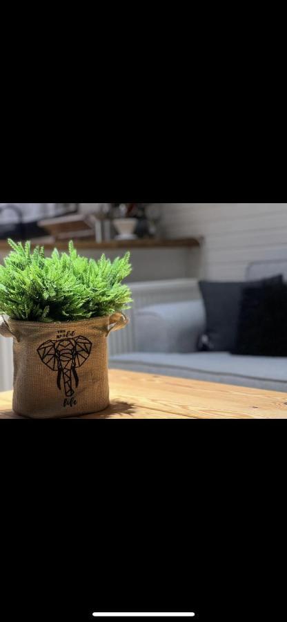 Minihane Sapanca Dış mekan fotoğraf